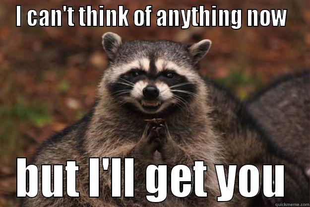 I CAN'T THINK OF ANYTHING NOW  BUT I'LL GET YOU Evil Plotting Raccoon