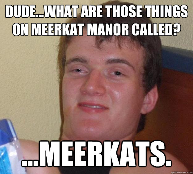 Dude...What are those things on meerkat manor called? ...Meerkats.  - Dude...What are those things on meerkat manor called? ...Meerkats.   10 Guy