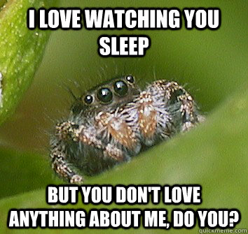 I love watching you sleep But you don't love anything about me, do you?  Misunderstood Spider