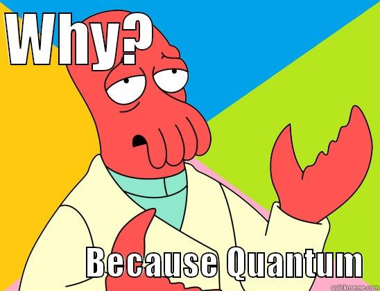 WHY?                                  BECAUSE QUANTUM  Futurama Zoidberg 