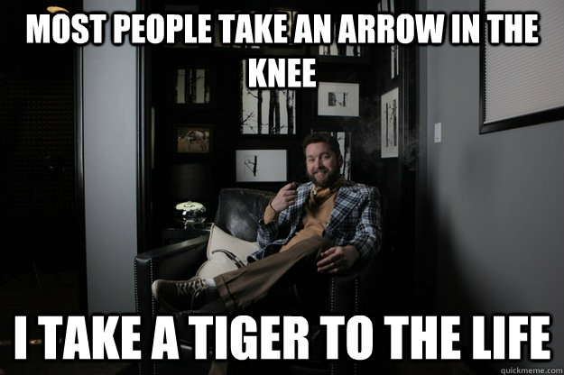 Most people take an arrow in the knee I take a tiger to the life  benevolent bro burnie