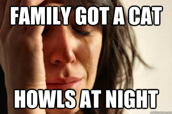 family got a cat howls at night  First World Problems