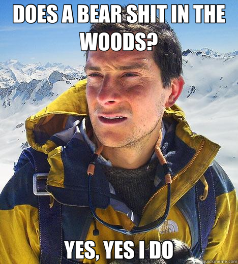 DOES A BEAR SHIT IN THE WOODS? YES, YES I DO  Bear Grylls