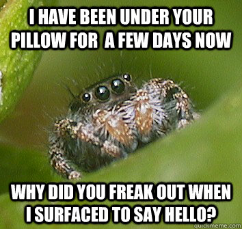 i have been under your pillow for  a few days now why did you freak out when i surfaced to say hello?  Misunderstood Spider