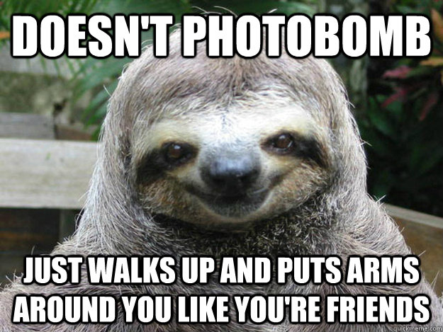 Doesn't photobomb just walks up and puts arms around you like you're friends - Doesn't photobomb just walks up and puts arms around you like you're friends  Creeper Sloth