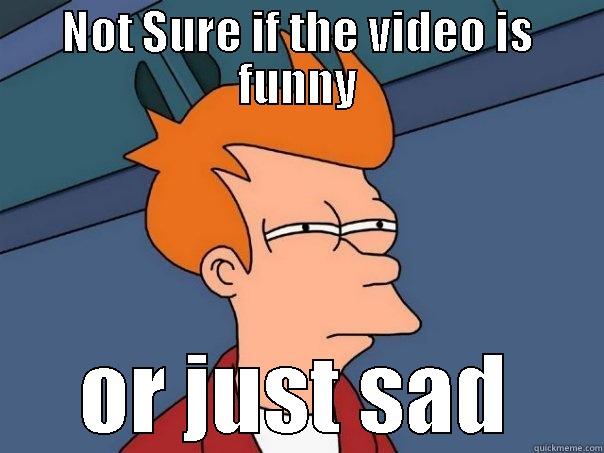 NOT SURE IF THE VIDEO IS FUNNY OR JUST SAD Futurama Fry