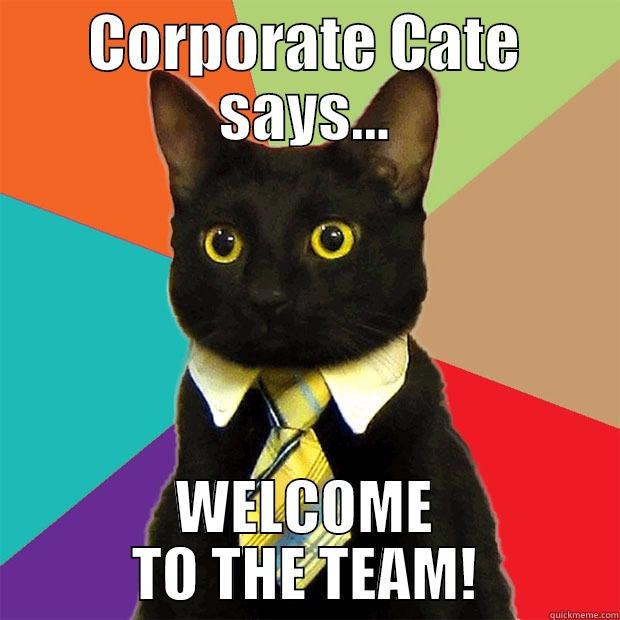 Hi Funny - CORPORATE CATE SAYS... WELCOME TO THE TEAM! Business Cat