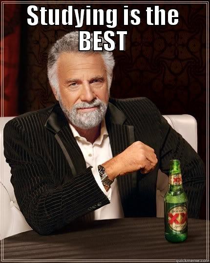 STUDYING IS THE BEST  The Most Interesting Man In The World