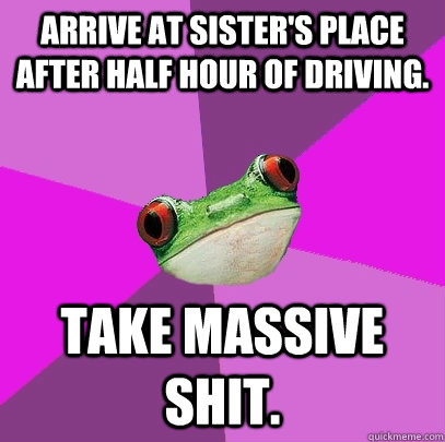 Arrive at sister's place after half hour of driving. take massive shit. - Arrive at sister's place after half hour of driving. take massive shit.  Foul Bachelorette Frog