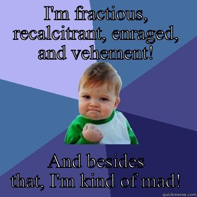 I'M FRACTIOUS, RECALCITRANT, ENRAGED, AND VEHEMENT! AND BESIDES THAT, I'M KIND OF MAD! Success Kid