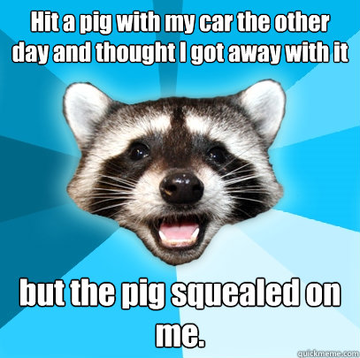 Hit a pig with my car the other day and thought I got away with it but the pig squealed on me. - Hit a pig with my car the other day and thought I got away with it but the pig squealed on me.  Lame Pun Coon