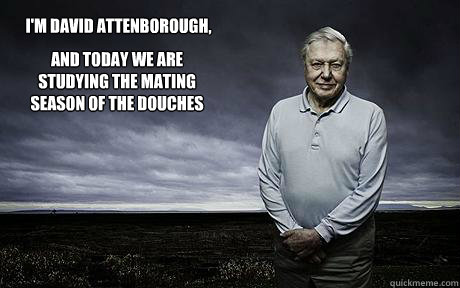 I'm david attenborough, and today we are studying the mating season of the douches  David Attenborough