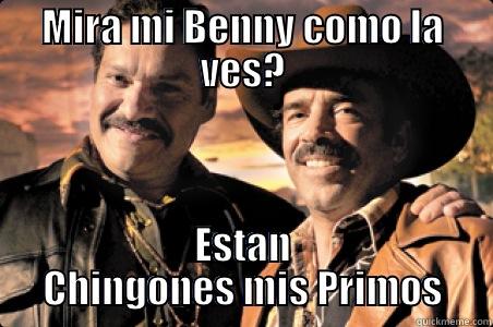 chingones primos - MIRA MI BENNY COMO LA VES? ESTAN CHINGONES MIS PRIMOS Misc