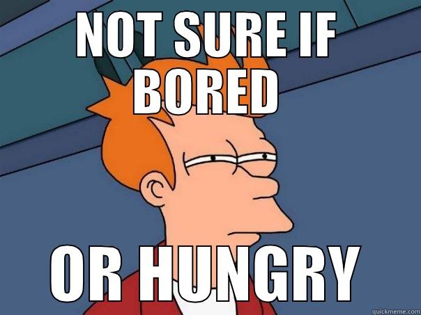 NOT SURE IF BORED OR HUNGRY Futurama Fry