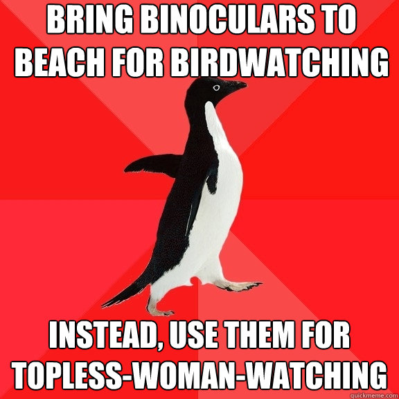 bring binoculars to beach for birdwatching instead, use them for                    topless-woman-watching  Socially Awesome Penguin