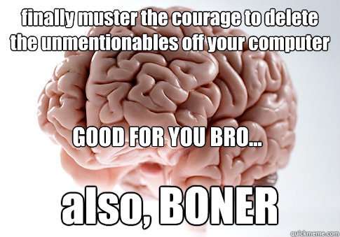 finally muster the courage to delete the unmentionables off your computer also, BONER GOOD FOR YOU BRO...  Scumbag Brain