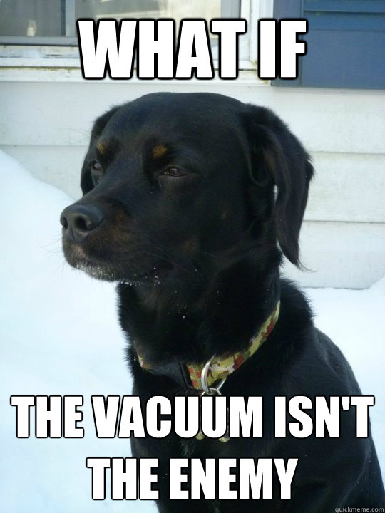 What if the vacuum isn't the enemy
  Philosophical Puppy