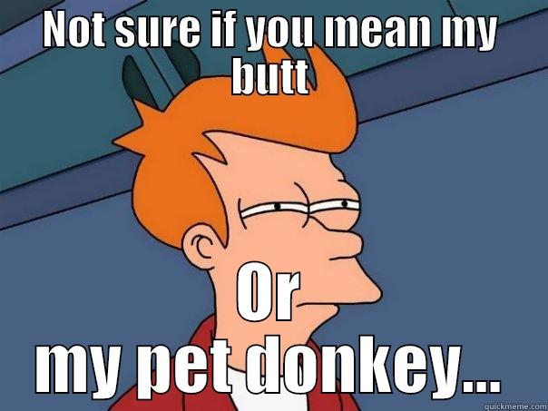 NOT SURE IF YOU MEAN MY BUTT OR MY PET DONKEY... Futurama Fry