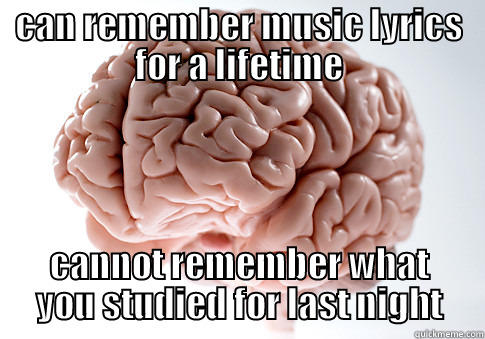 CAN REMEMBER MUSIC LYRICS FOR A LIFETIME CANNOT REMEMBER WHAT YOU STUDIED FOR LAST NIGHT Scumbag Brain