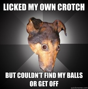 licked my own crotch but couldn't find my balls or get off  Depression Dog