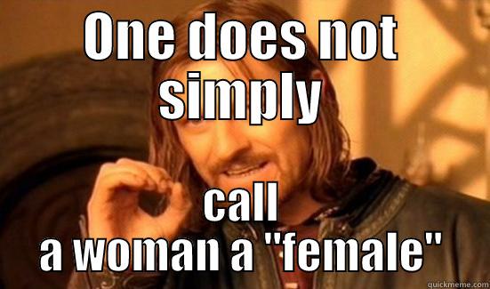 ONE DOES NOT SIMPLY CALL A WOMAN A 