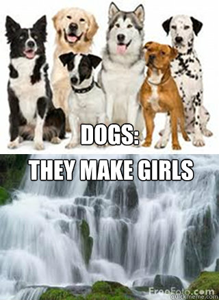 DOGS:  THEY MAKE GIRLS  