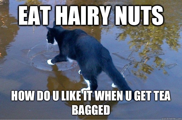 Eat hairy nuts How do u like it when u get tea bagged - Eat hairy nuts How do u like it when u get tea bagged  Jesus Cat