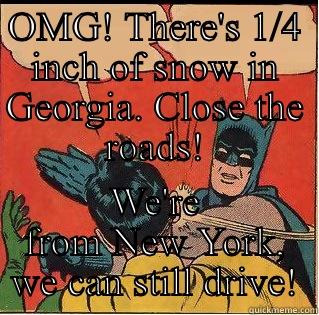 Snow in georgia - OMG! THERE'S 1/4 INCH OF SNOW IN GEORGIA. CLOSE THE ROADS! WE'RE FROM NEW YORK, WE CAN STILL DRIVE! Slappin Batman