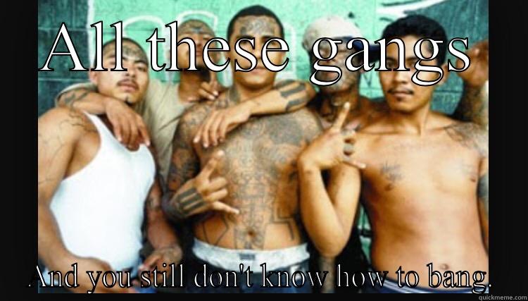 Can't bang - ALL THESE GANGS AND YOU STILL DON'T KNOW HOW TO BANG. Misc