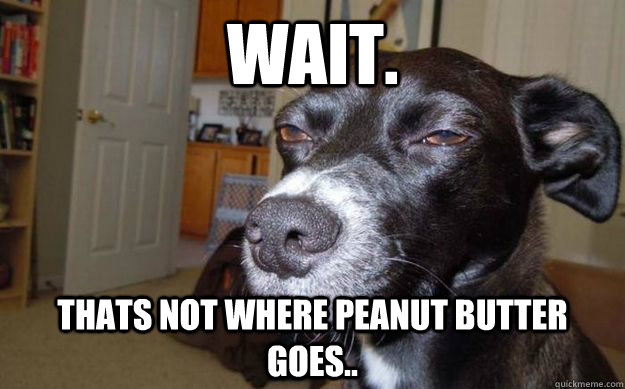 Wait. Thats not where peanut butter goes..  Skeptical Mutt