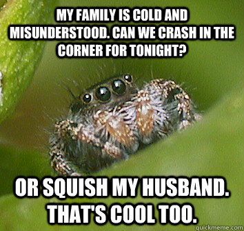 my family is cold and misunderstood. Can we crash in the corner for tonight? Or squish my husband. That's cool too.  Misunderstood Spider