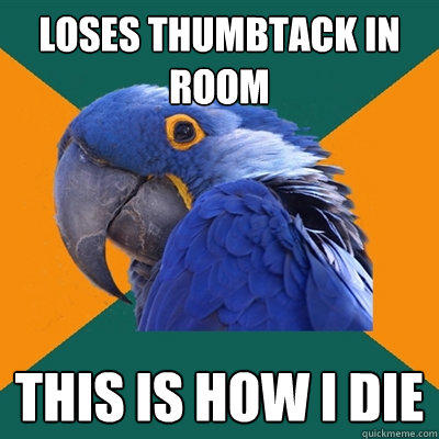 loses thumbtack in room this is how I die - loses thumbtack in room this is how I die  Paranoid Parrot