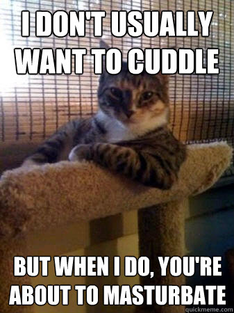 I don't usually want to cuddle but when I do, you're about to masturbate  The Most Interesting Cat in the World