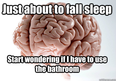 Just about to fall sleep Start wondering if I have to use the bathroom   Scumbag Brain