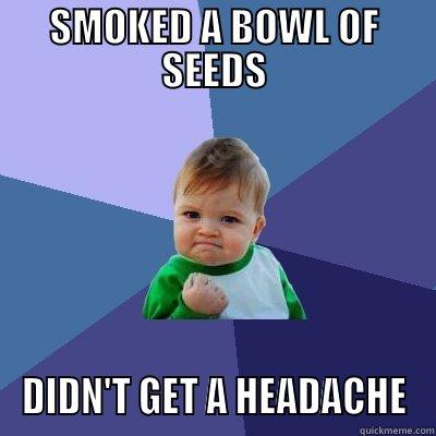 SMOKED A BOWL OF SEEDS DIDN'T GET A HEADACHE Success Kid