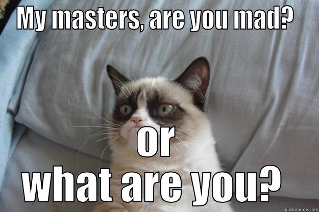 MY MASTERS, ARE YOU MAD?  OR WHAT ARE YOU?  Grumpy Cat