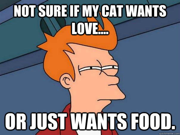 Not sure if my cat wants love.... Or just wants food. - Not sure if my cat wants love.... Or just wants food.  Futurama Fry