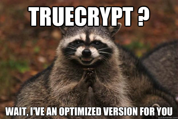 Truecrypt ? wait, I've an optimized version for you  Evil Plotting Raccoon