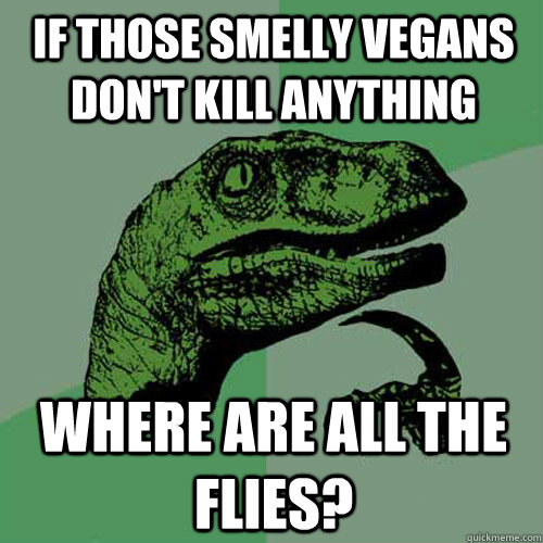 If those smelly vegans don't kill anything Where are all the flies? - If those smelly vegans don't kill anything Where are all the flies?  Philosoraptor