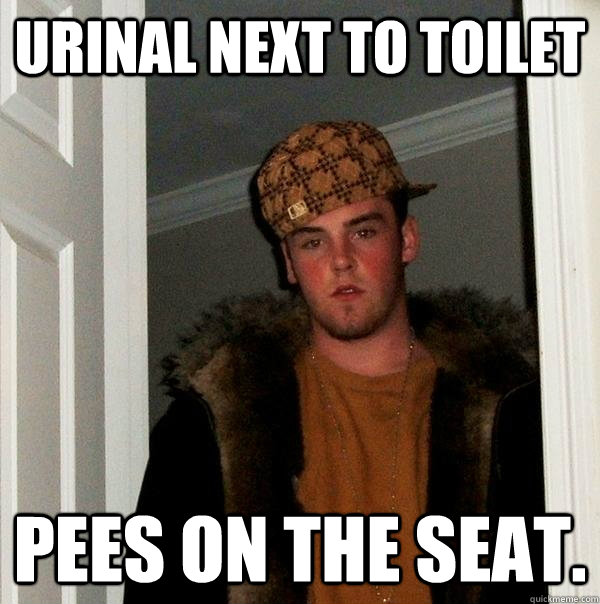 Urinal next to toilet Pees on the seat.  Scumbag Steve