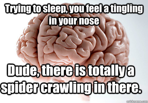 Trying to sleep, you feel a tingling in your nose Dude, there is totally a spider crawling in there.  - Trying to sleep, you feel a tingling in your nose Dude, there is totally a spider crawling in there.   Scumbag Brain