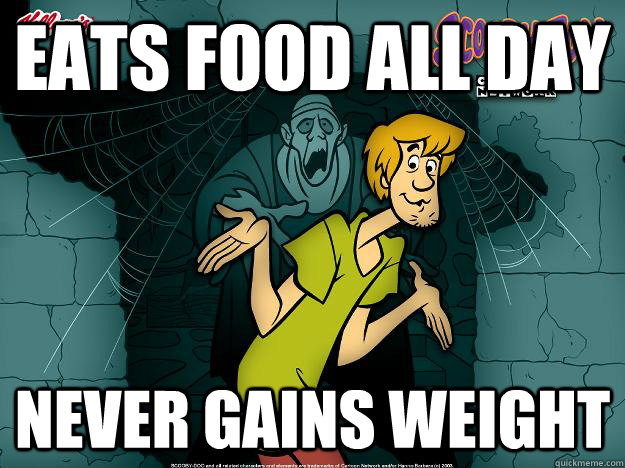 eats food all day never gains weight  Irrational Shaggy