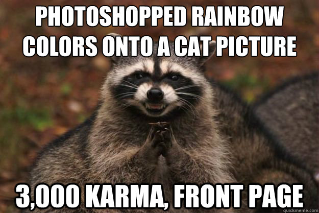 Photoshopped rainbow colors onto a cat picture  3,000 karma, front page - Photoshopped rainbow colors onto a cat picture  3,000 karma, front page  Evil Plotting Raccoon