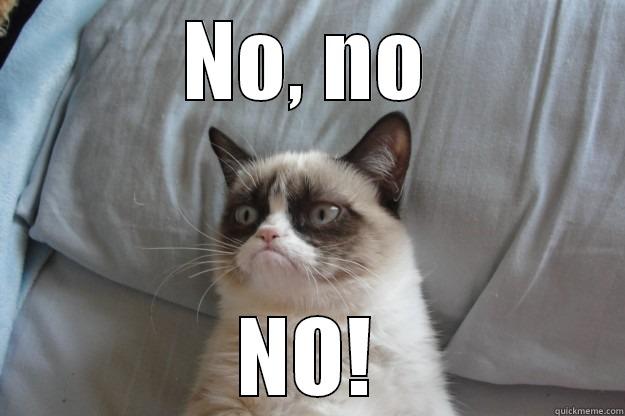 no no no - NO, NO NO! Grumpy Cat