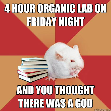 4 hour organic lab on friday night and you thought there was a god  Science Major Mouse