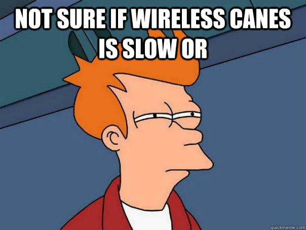 Not sure if wireless canes is slow or   Futurama Fry