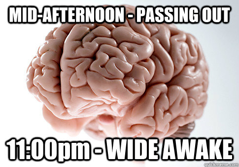 MID-AFTERNOON - PASSING OUT 11:00pm - WIDE AWAKE  - MID-AFTERNOON - PASSING OUT 11:00pm - WIDE AWAKE   Scumbag Brain