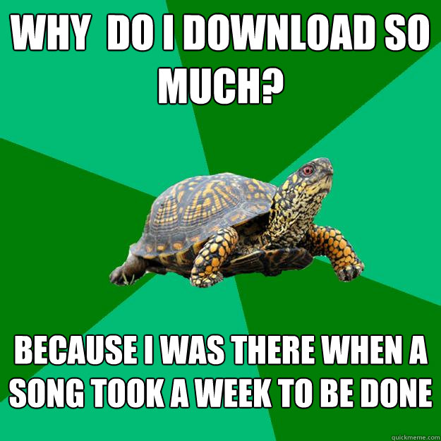 why  do i download so much? because i was there when a song took a week to be done - why  do i download so much? because i was there when a song took a week to be done  Torrenting Turtle