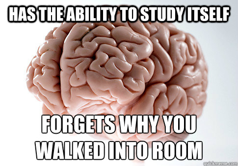 Has the ability to study itself forgets why you walked into room  Scumbag Brain