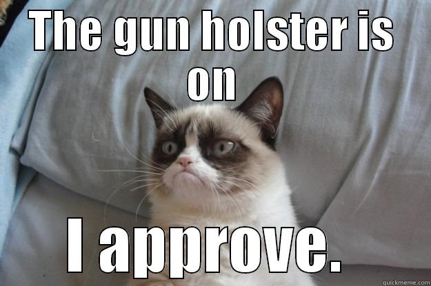 Look Who is Back: Rick TWD  - THE GUN HOLSTER IS ON I APPROVE.  Grumpy Cat